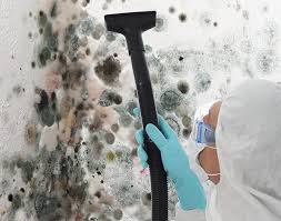 Why You Should Choose Our Mold Remediation Services in Maysville, NC